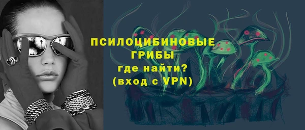 прущая мука Няндома