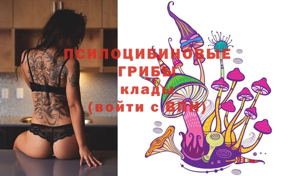 apvp Абинск