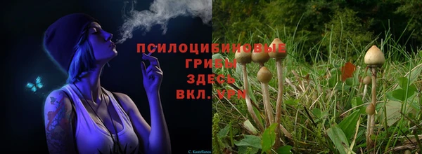 твердый Абдулино
