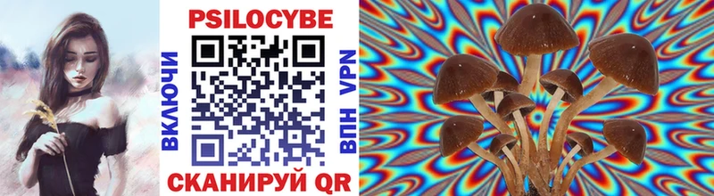 где найти   blacksprut ССЫЛКА  Псилоцибиновые грибы Magic Shrooms  Уржум 